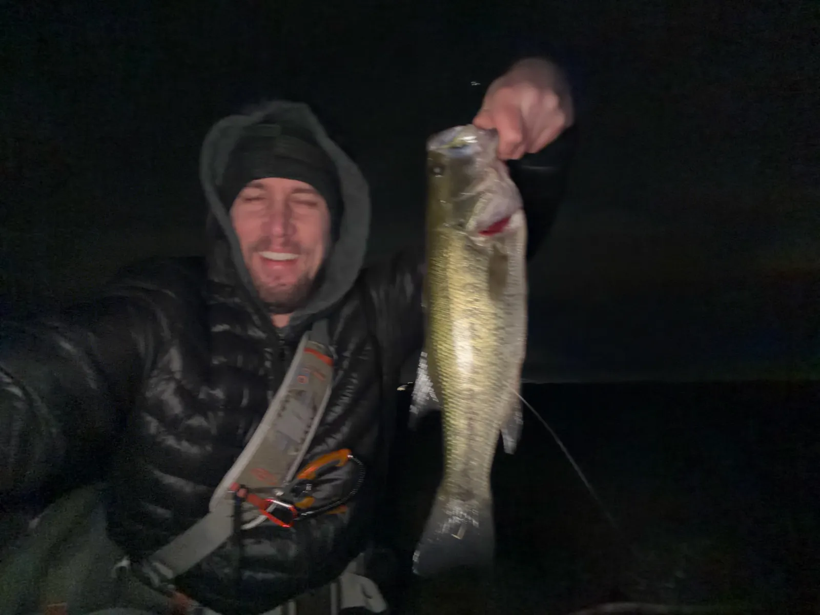 Bass