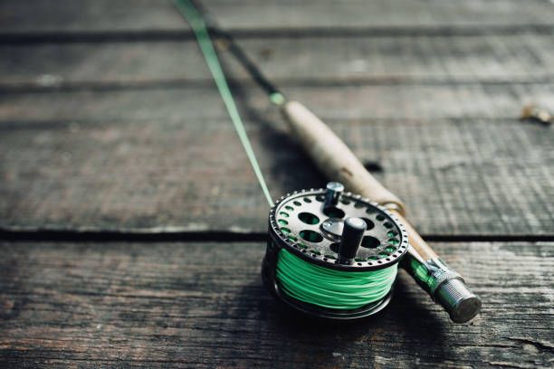 Best Fly Fishing Lines for Beginners (2026): 5 Lines That Make Learning Easier