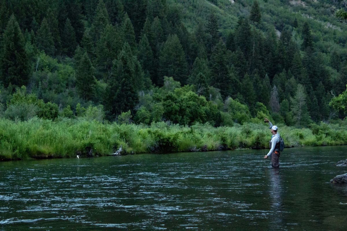 Spring Runoff Trout Fishing: A Phase-by-Phase Guide