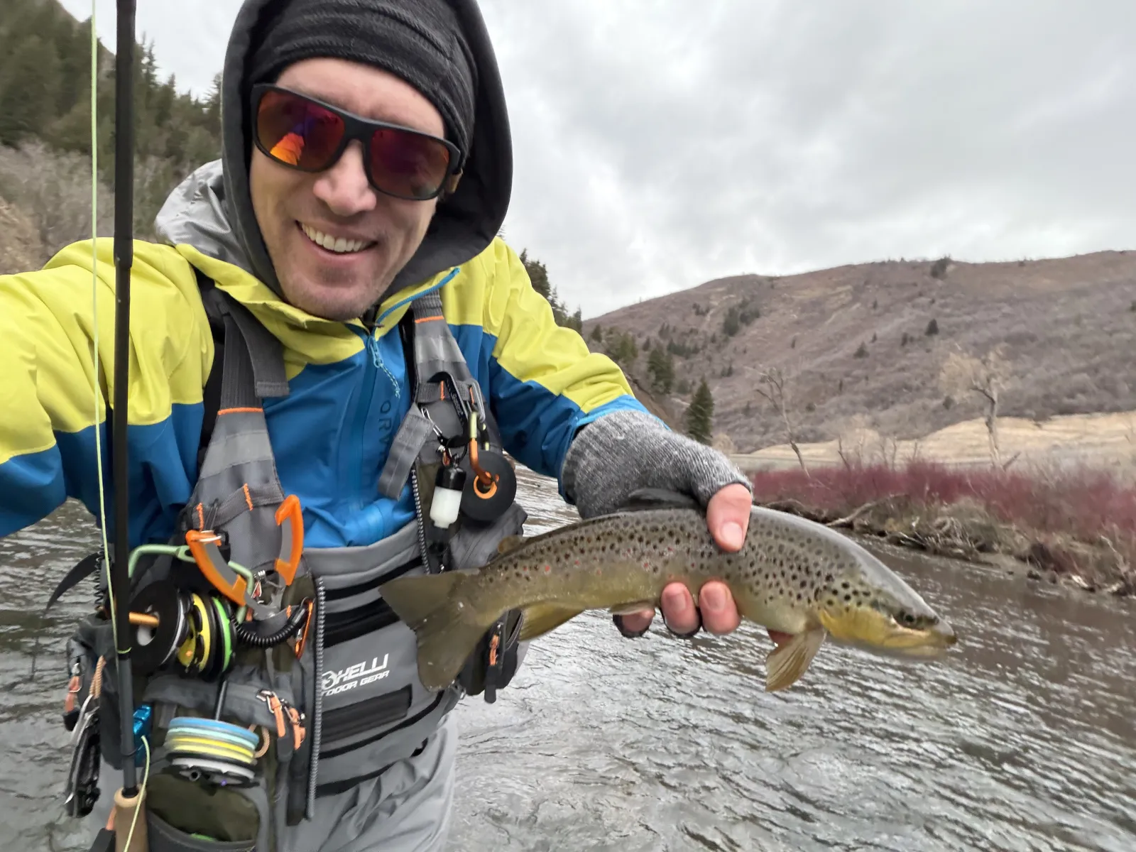 Best Polarized Fishing Sunglasses Under $50 for Beginners (2026)