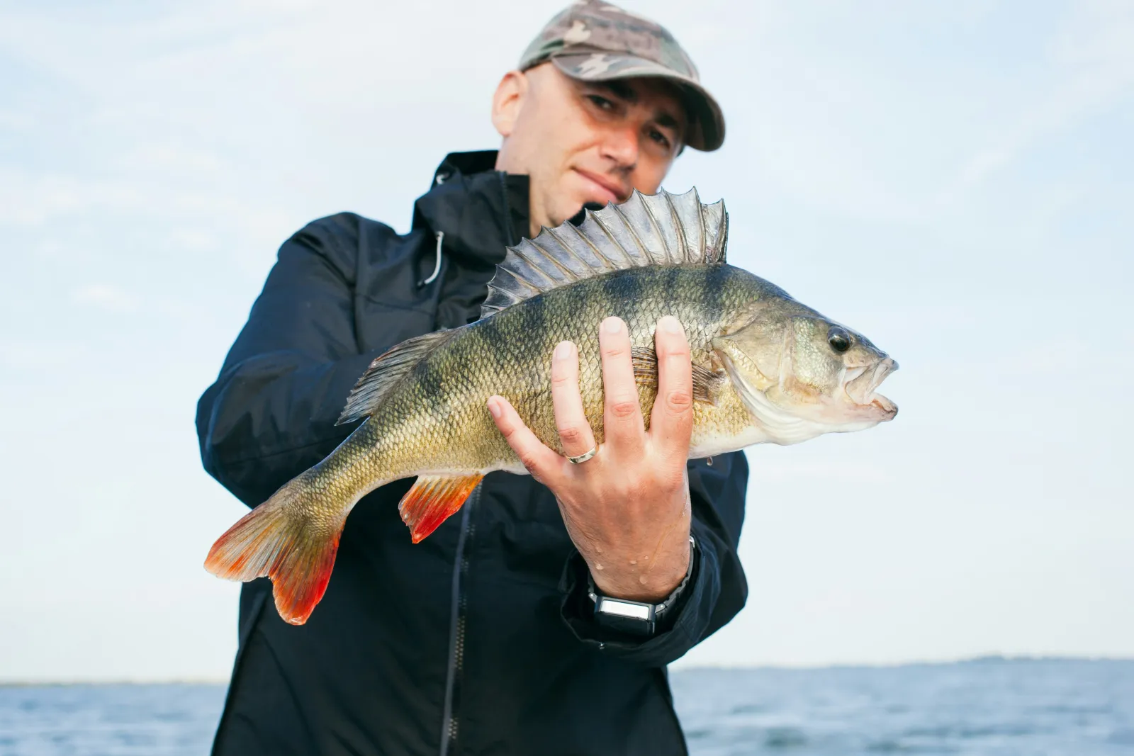 Best Summer Bass Lures for 2026: Topwater, Prop Baits, and Vibrating Jigs