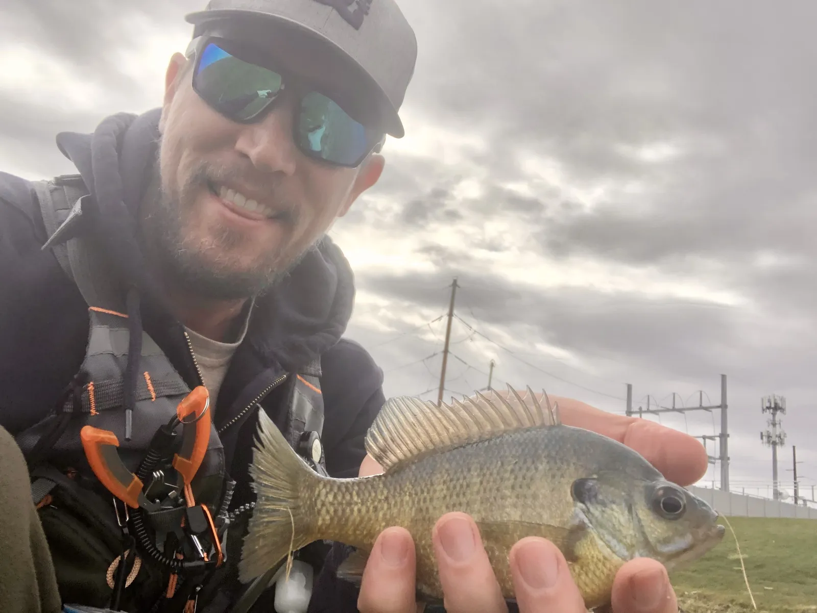 Best Crappie and Panfish Soft Plastics for 2026