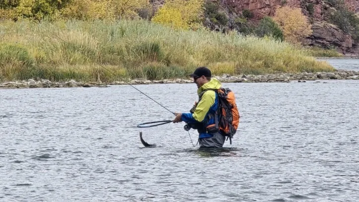 Green River Utah: Section A vs B vs C — Where to Float, Where to Wade