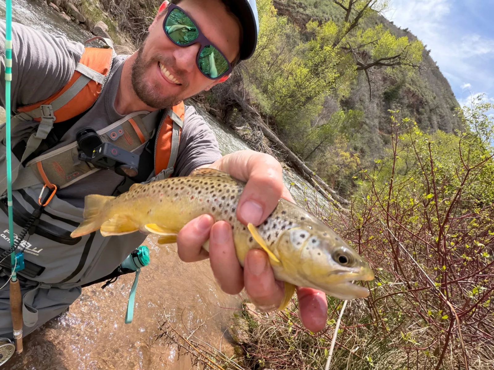 Summer Trout Fishing: How to Find Fish When the Water Warms Up