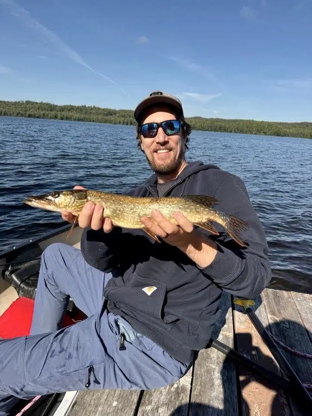 Pike Fishing for Beginners: The Freshwater Predator Most Anglers Overlook