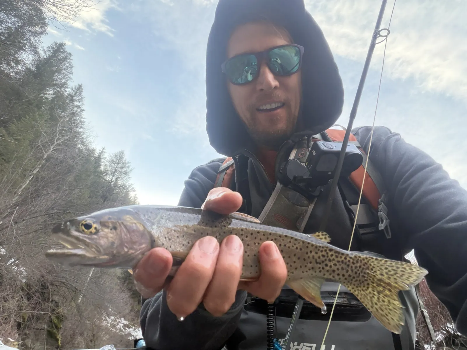 Logan River Bear River Cutthroat: A Walk-and-Wade Guide to Logan Canyon