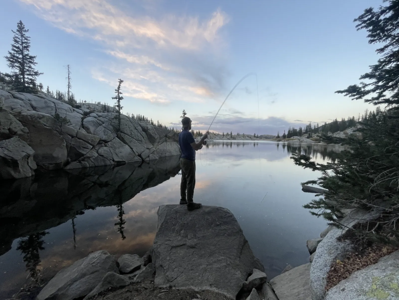 Stillwater Trout in June: Callibaetis and Damselfly Hatches on Western Reservoirs