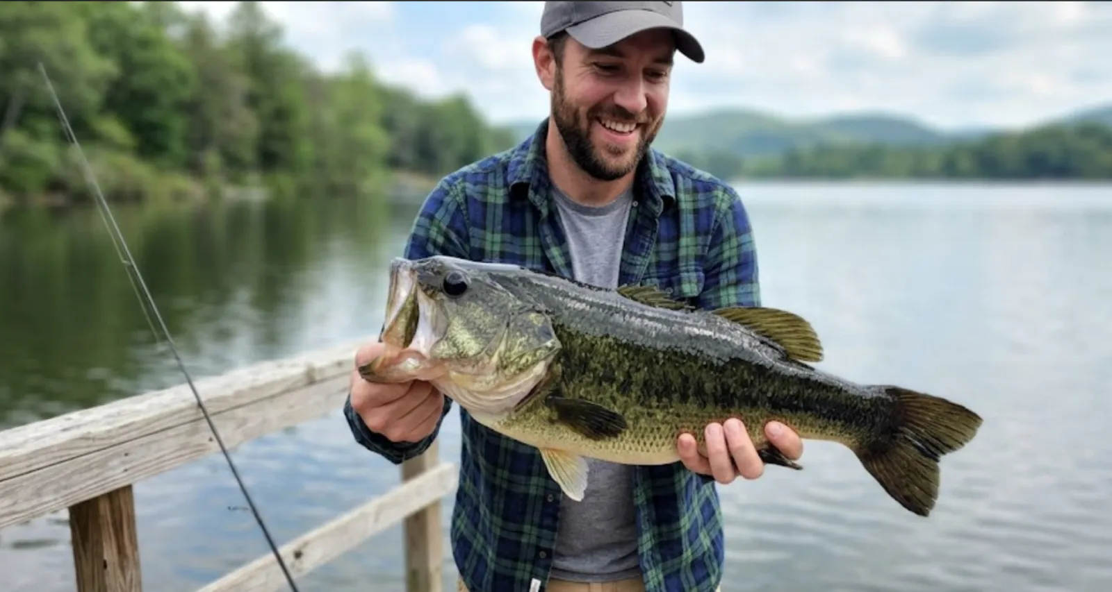 Best Soft Jerkbait for Bass 2026: Super Fluke vs Caffeine Shad vs Jerk ShadZ