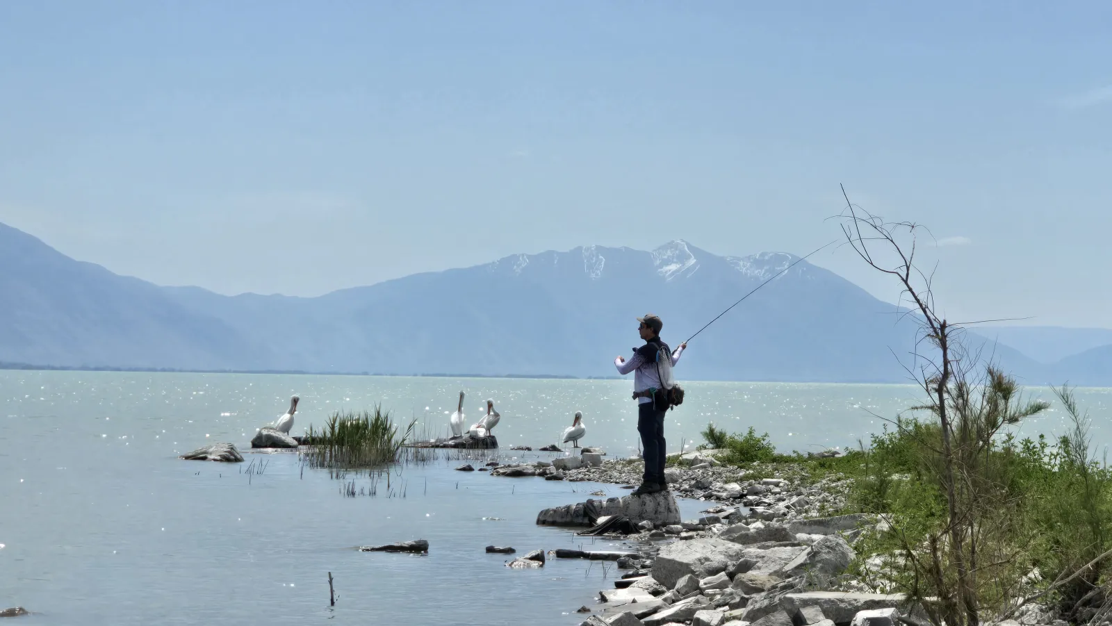 Same Spot, Different Day: Why You Got Skunked Where You Slayed Them