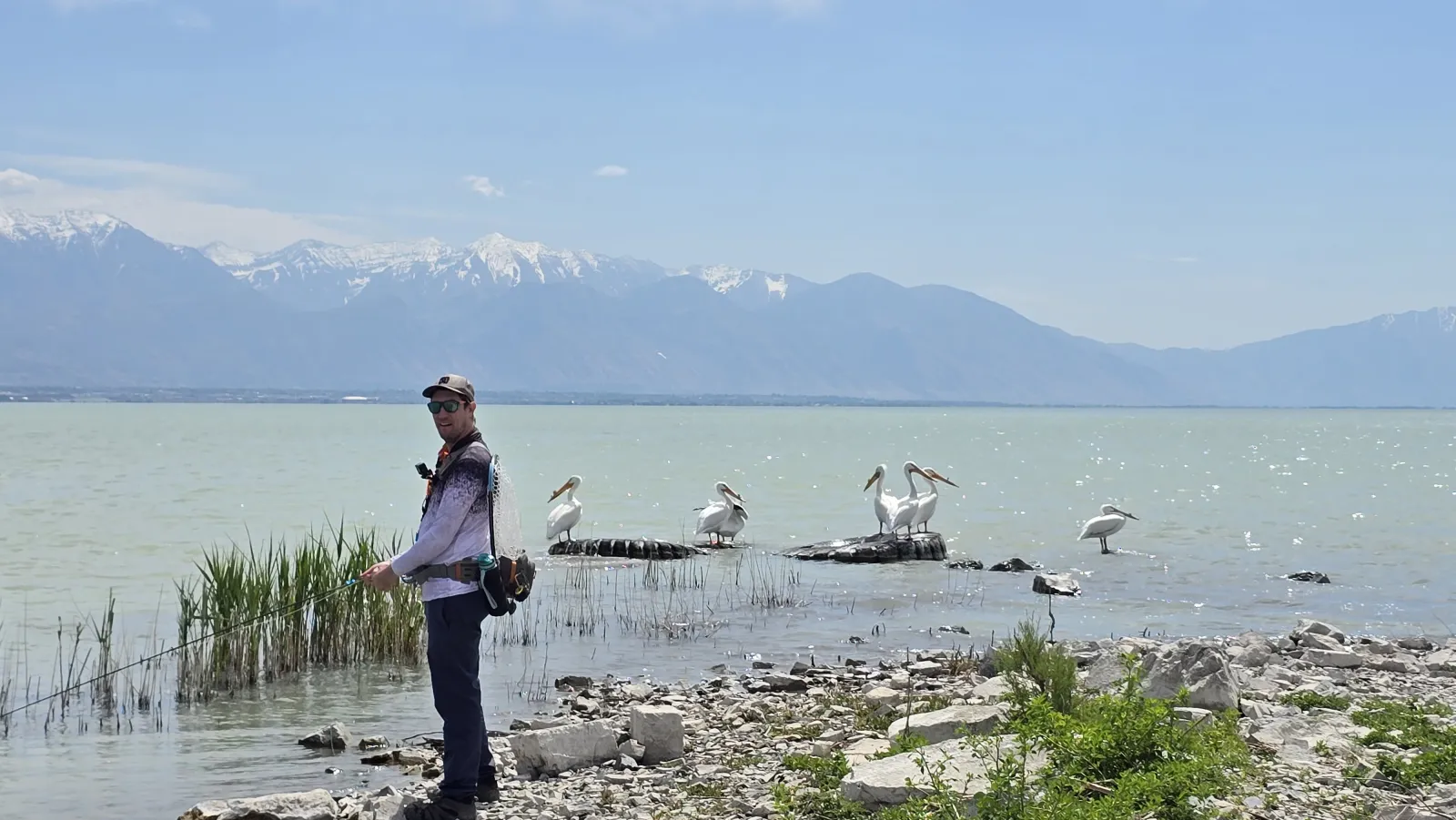 Utah Lake Algal Bloom and Fishing: How to Read HAB Advisories and Still Catch Fish (2026)