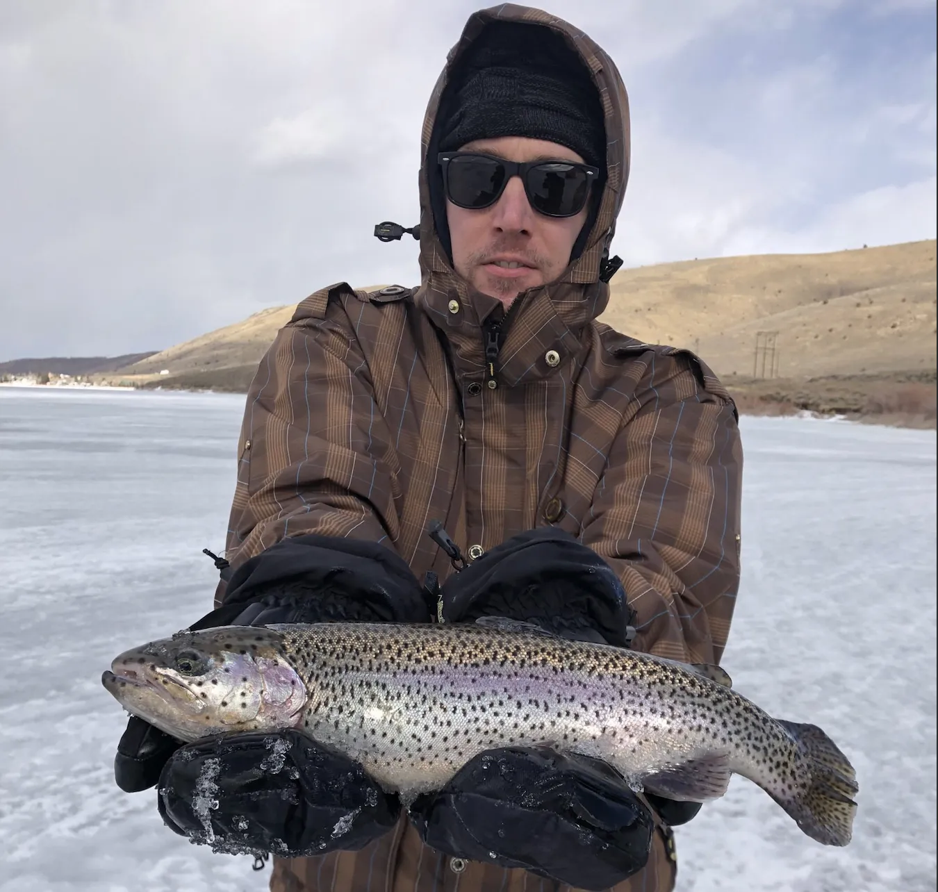 Scofield Reservoir Fishing Guide: Tiger Trout, Cutthroat, and the Chub Cycle