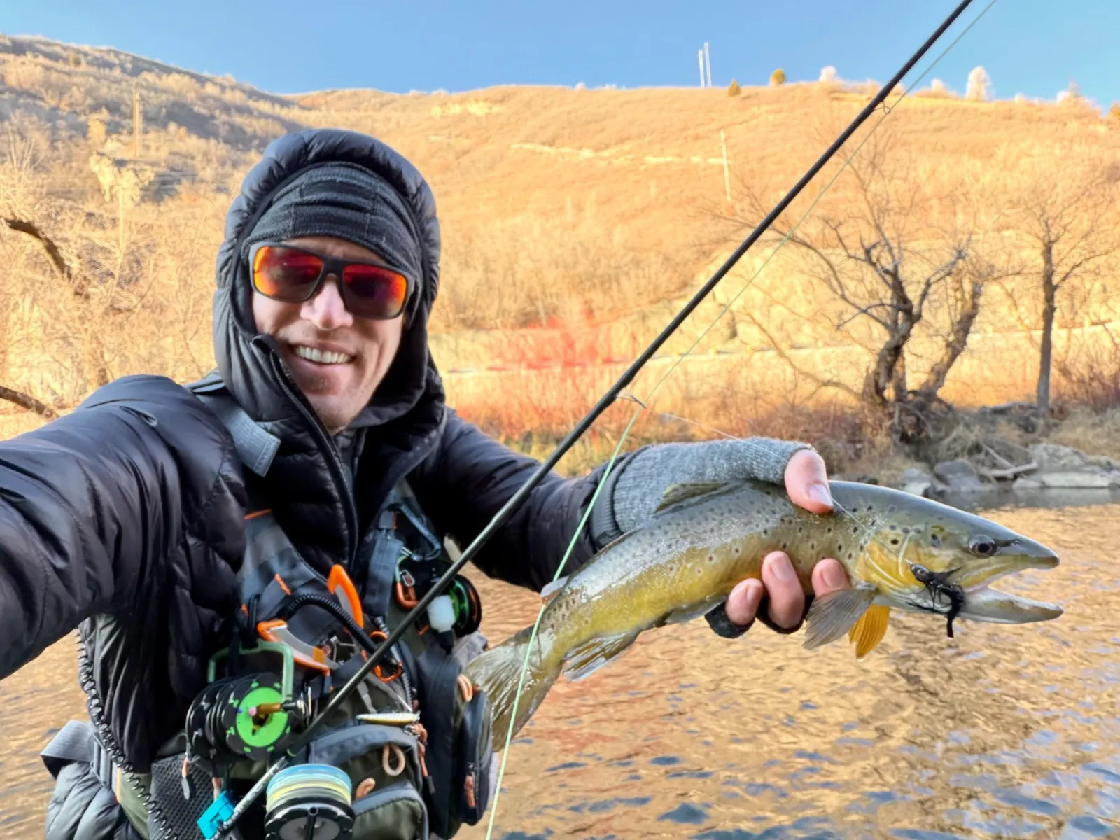 Lower Provo River Fly Fishing in Fall: Access, Flows, and Pre-Spawn Browns