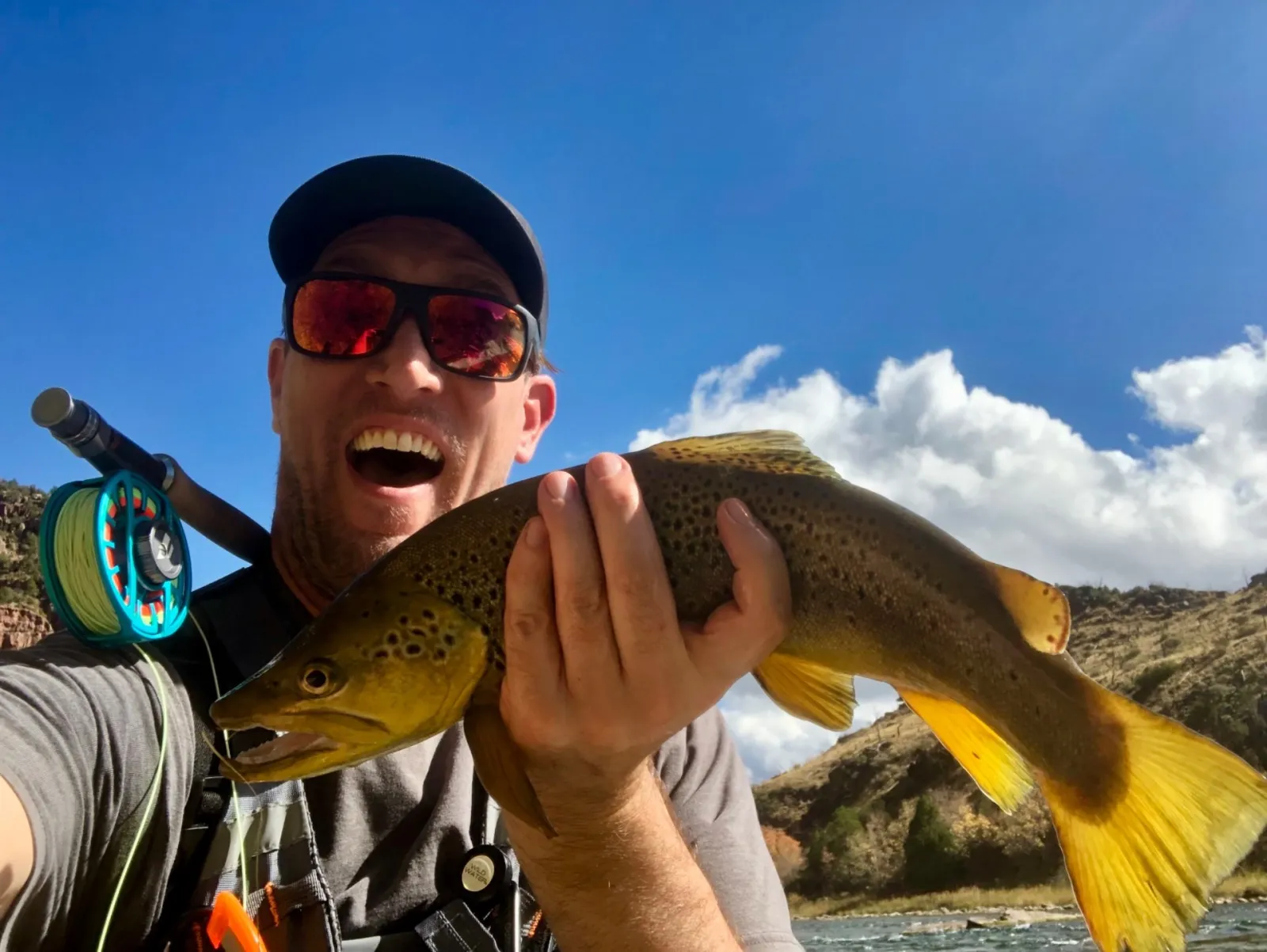 Green River in Fall: BWOs, Low Crowds, and Big Browns Below Flaming Gorge
