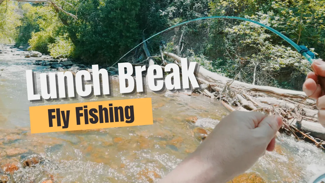 Fly Fishing on Your Lunch Break: How to Get a Real Hour on the Water