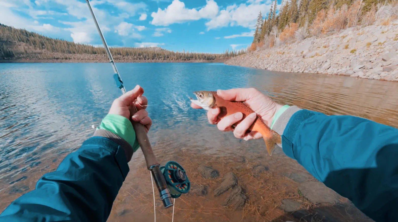 Fly Fishing for Kokanee in Utah's Alpine Lakes: Salmon at 10,000 Feet