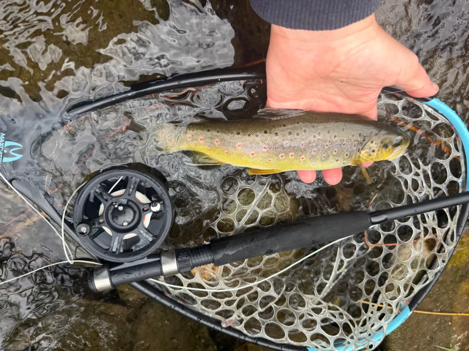 Can a Cheap Fly Rod Catch Wild Trout? My $50 Amazon Wakeman Challenge