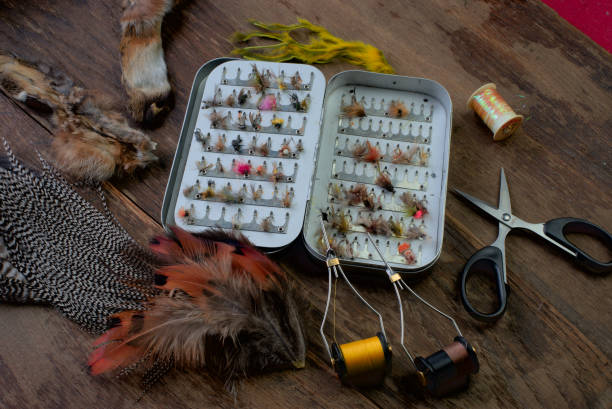 10 Best Spring Flies for the Rocky Mountains (March-May)