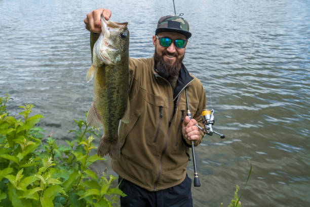 5 Best Lure Patterns for Spring Bass Fishing (Proven Producers)