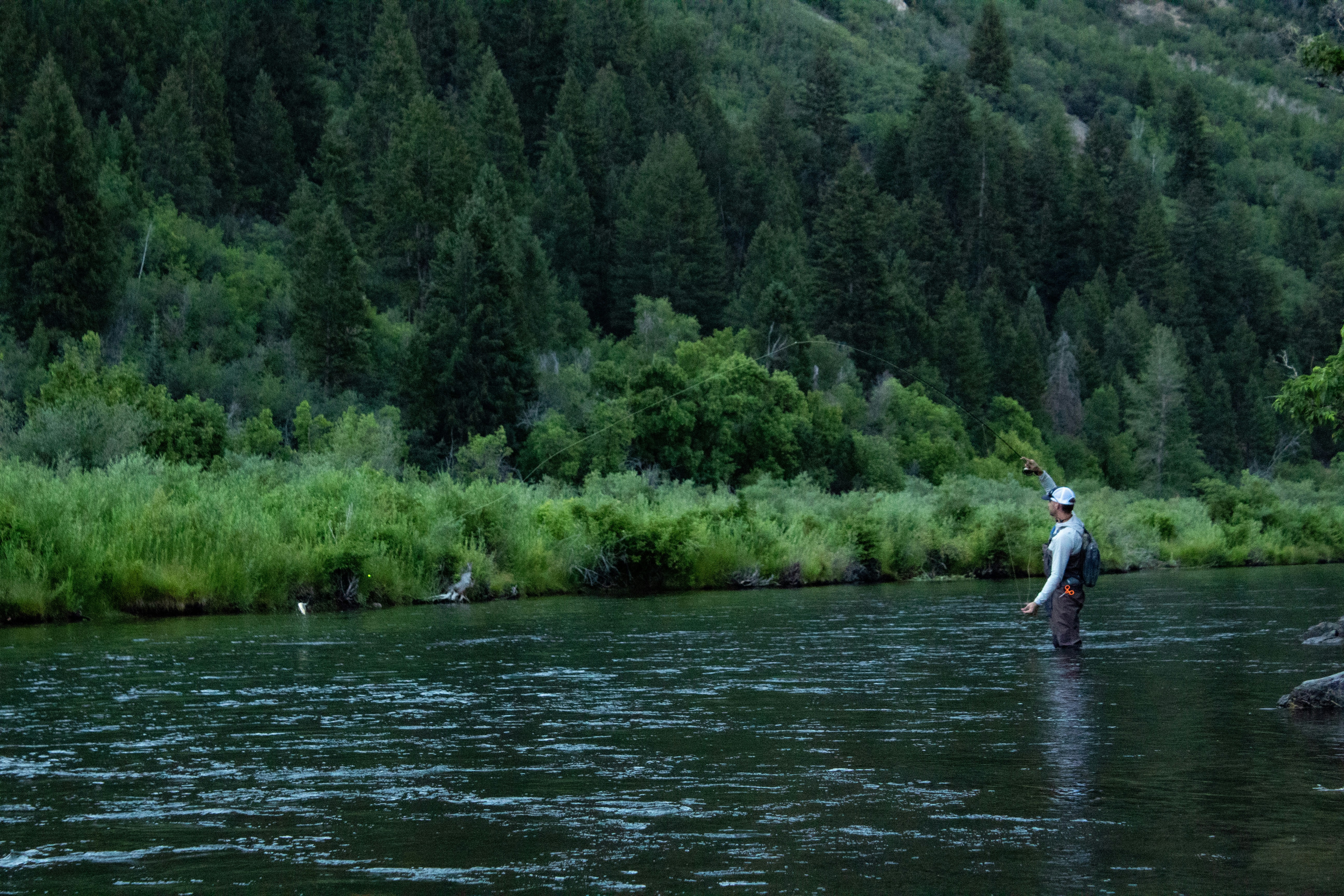 Nymphing for Trout: A Beginner's Guide to Subsurface Fly Fishing