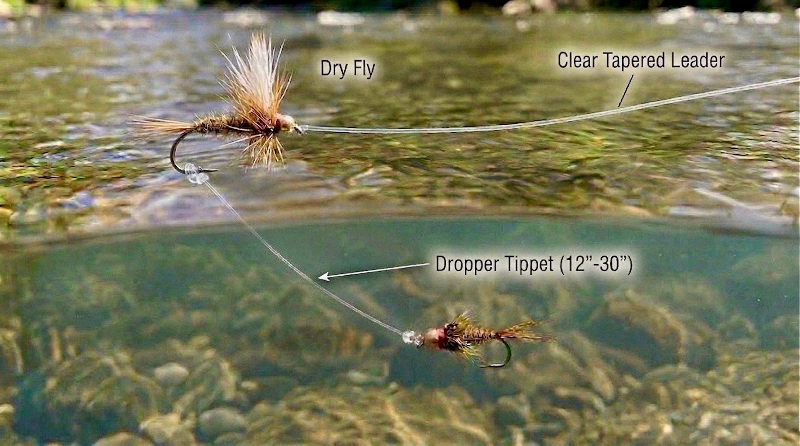 Dry Dropper Rig Setup: A Complete Beginner's Guide