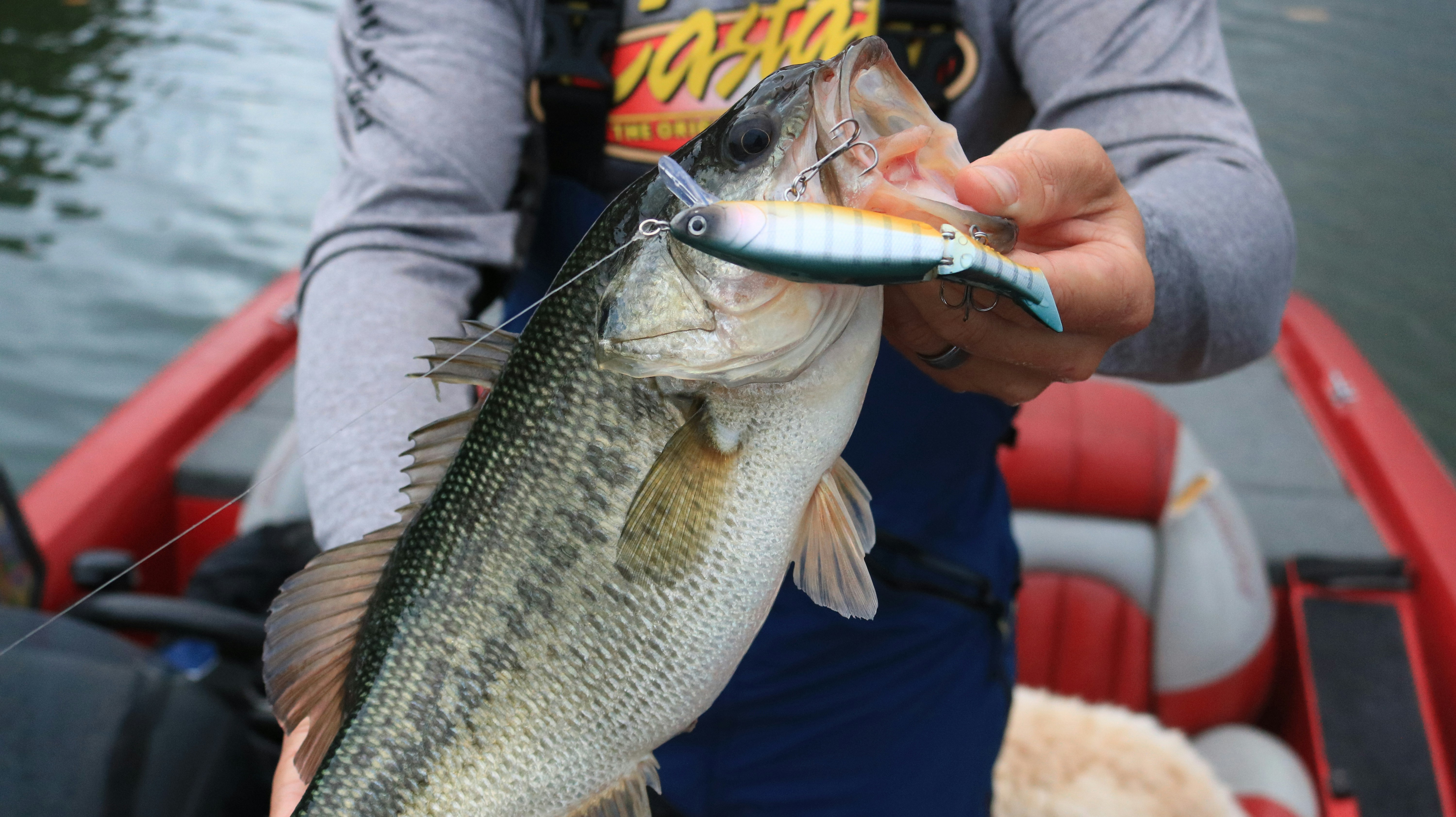 Pre-Spawn Bass Fishing: A Temperature-by-Temperature Field Guide